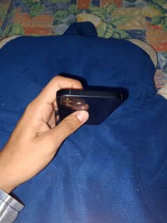 Organt for sale