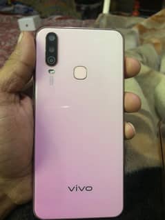 vivo
