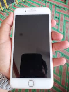 Iphone 8 plus