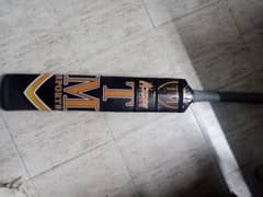 Coconut wood bat