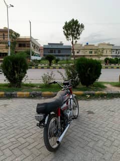 CD