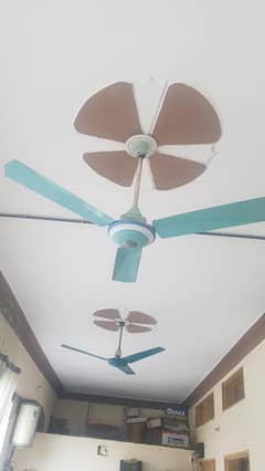 ceiling