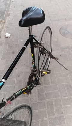 sport cycle