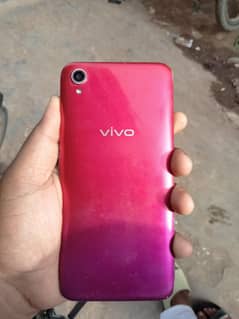 vivo