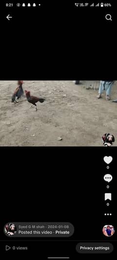 Bht acha murga h tpni mil jaha gi 03461001273