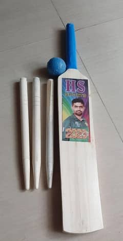 cricket bat and wicket for kids