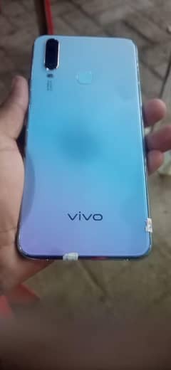 vivo