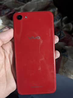 vivo