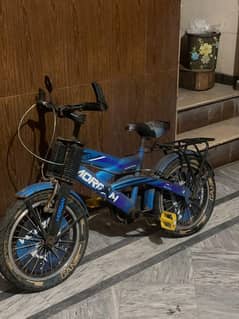 imported bicycle