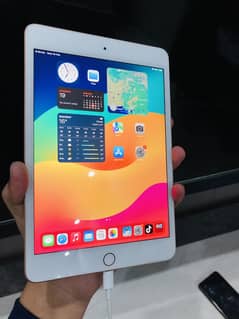 Ipad Mini 5 64 GB LLA + 20W Original Charger & Original Cable