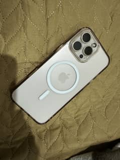 256