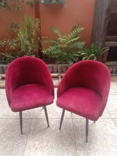 Dinning chairs