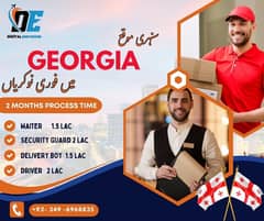 Georgia Work Permit Visa | Jobs Available