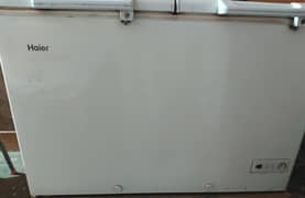 Haier D Freezer double door