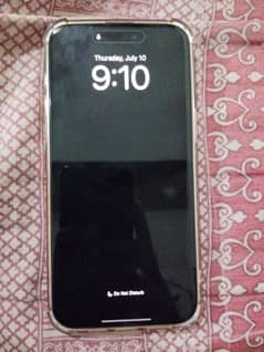 iPhone 14 Pro Max