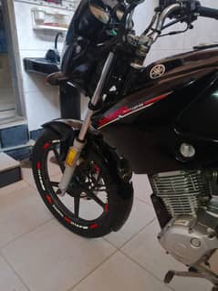 Yamaha YBR 125 (2018/2019)