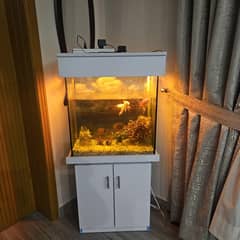 New Aquarium