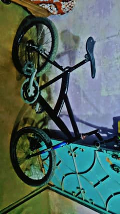 by cycle