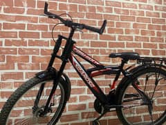 searose bicycle 