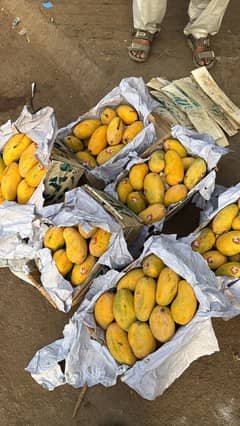 mangos