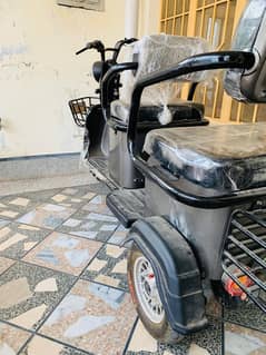 Three wheel electric bike