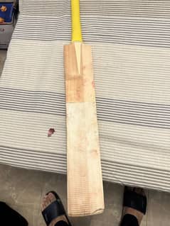 Grade A english willow cricket bat Long handle