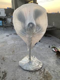 Pedestal Fan for Sale