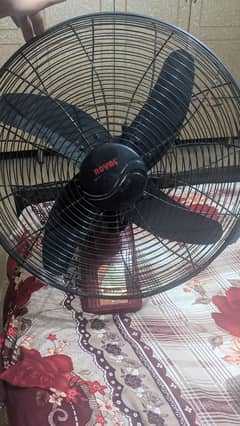 royal fan 18"