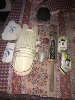 Cricket