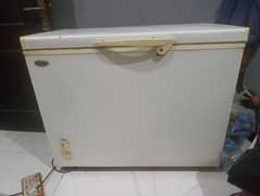 Haier