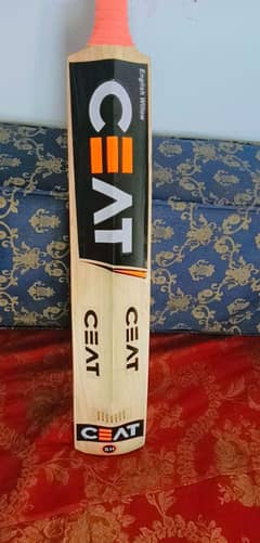 Hard ball cricket bat