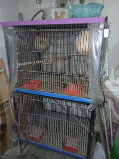 Cage, Birds Cage, Iron Cage