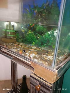 aquarium