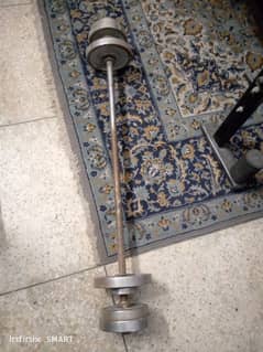 barbells and press bench set