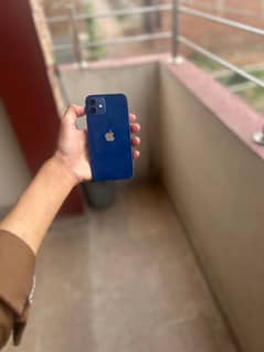IPHONE 12 FOR SALE