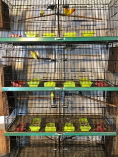 cage for sale