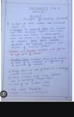 assignment