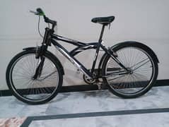 Stylish Bicycle