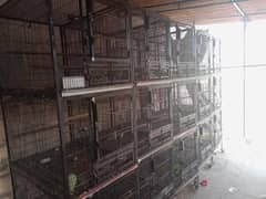 iron cage wooden cage