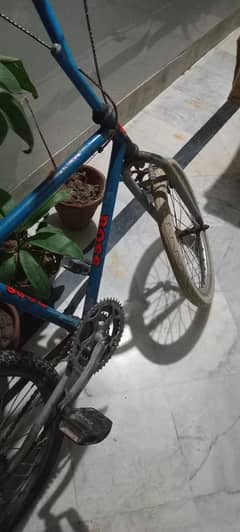 Cycle for Sale