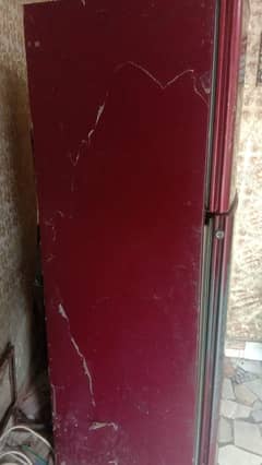 oriant full size frige