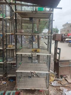 birds cage