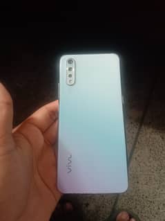 vivo