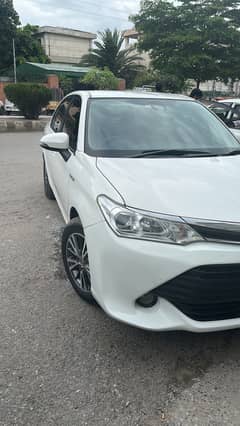 Toyota Axio Hybrid
