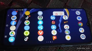 vivo
