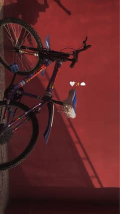 Sale bicycle