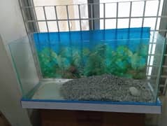 aquarium
