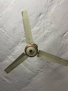 Ceiling