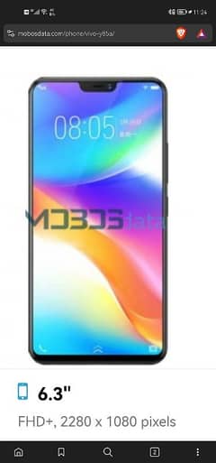 vivo