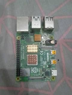 Raspberry